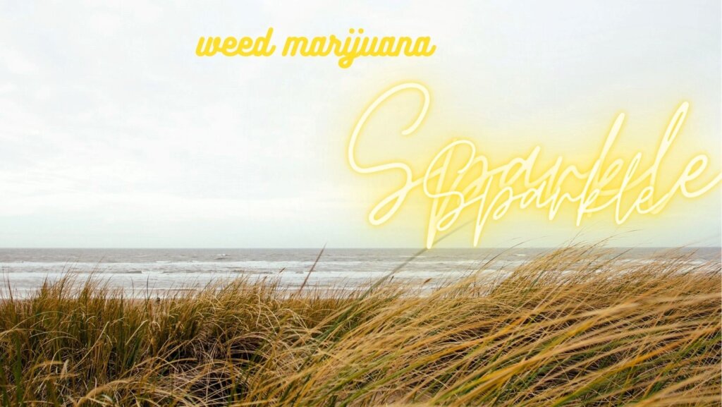 Buy best online weed marijuana in San Francisco