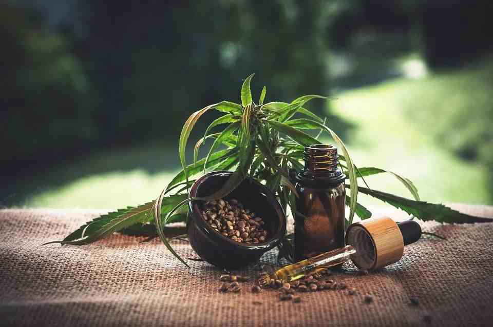 Reasons behind the growth of CBD business