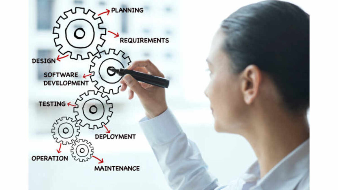 What to look for in custom software development projects