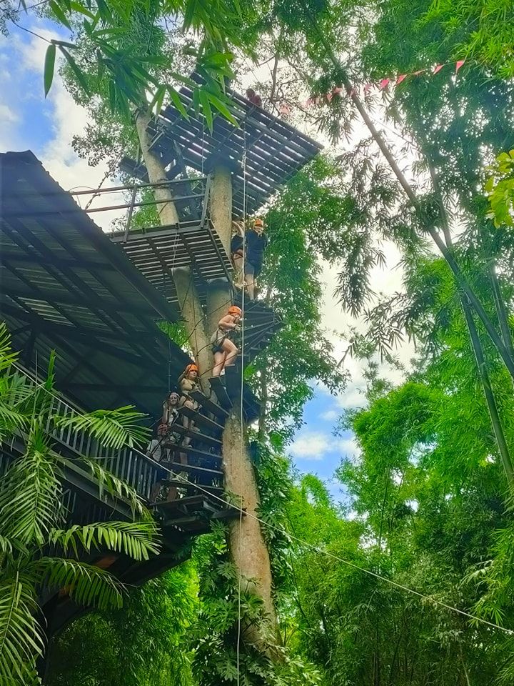 What is Ziplining