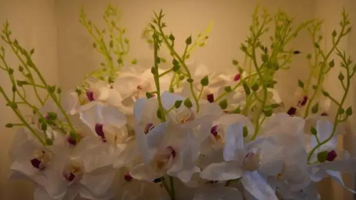 Elegance in Bloom White Orchids as the Perfect Gift Choice