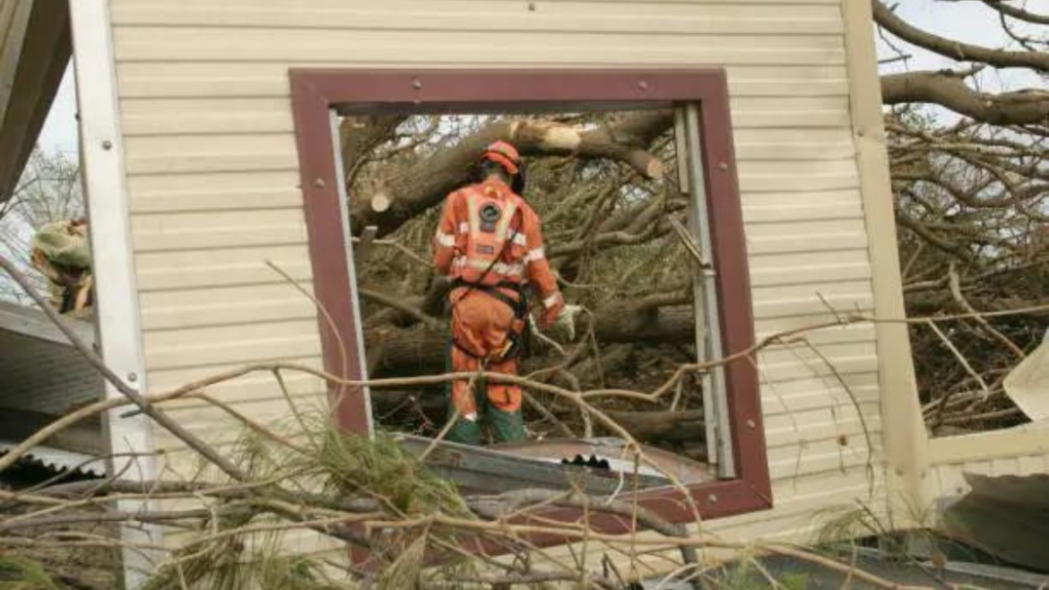 Top Reasons to Engage an Emergency Tree Cutting Service After a Storm